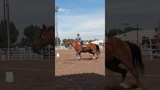 #nsca #omoksee #horse #rodeo #horseshow #western #westernriding #aqha #youtubeshorts #subscribe