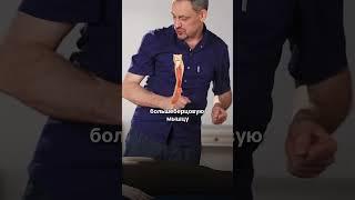 ДИАФРАГМА - САМАЯ ГЛАВНАЯ МЫШЦА