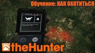 The Hunter | Обучение: Как охотиться