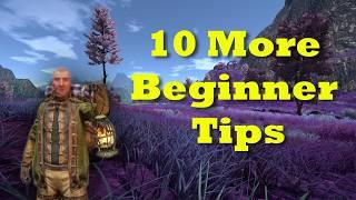 10 More Beginner Tips To Start Out! - Outward Definitive Edition