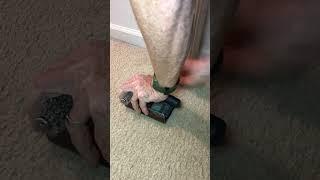 Keep extra carpet