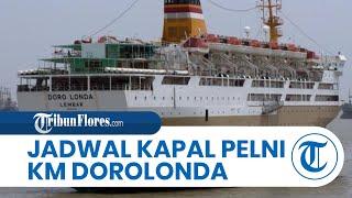 Jadwal Kapal Pelni KM Dorolonda 19 Juni-5 Juli 2023, Bitung-Makassar, Ambon-Namlea, Surabaya-Jakarta