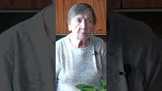 Правила ухода за глоксинией