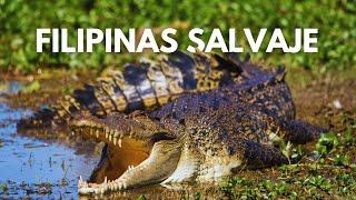 FILIPINAS SALVAJE - El Misterio de los Animales Ocultos | Documental Animal