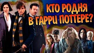 Какие герои Гарри Поттера и Фантастических Тварей родственники?