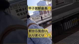 【甲子園】駅が、ホームから気合い入ってる！！さすが、我が【阪神タイガース】あとは、電車の色を黄色にするだけやな。