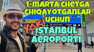 Ilk bor sayohatga chiqayotganlar uchun, yoki Istanbul aeroporti haqida