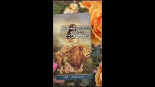 Strength  tarot card affirmation