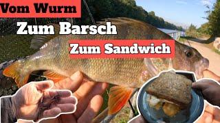 Angeln am Kanal                                                 [ Vom Wurm zum Barsch zum Sandwich ]