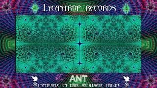 Lycantrop Records presents Quarantine room Ant dj set 1h40