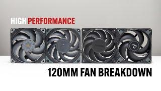 Ultimate Fan Test: Arctic P12 Max vs Phanteks T-30, Which is Best? (v1.1)