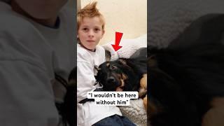 Dog saves the life of this 10 year old kid️ #shorts