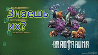 Гайд. Какие растения есть в игре Barotrauma.