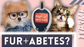 Diabetes in CAT'S and DOG'S