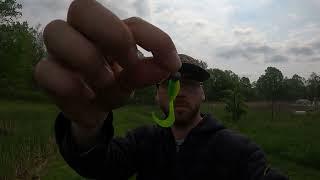 Mister Twister Bait review