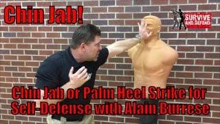 Chin Jab or Palm Heel Strike for Self Defense with Alain Burrese