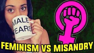 Feminism vs Misandry (Guest video by Venaloid)