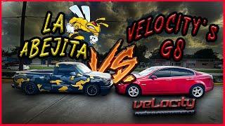 La Abejita vs. Velocity's G8!! (RACE)