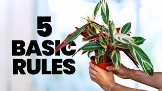 If I Just Bought My First Plant, I'd Do This