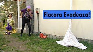 Flacara Evadeaza! --- Viziru in serialul REGINA