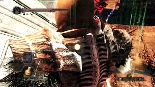 Прохождение Dark Souls 2 Scholar Of The First Sin #22