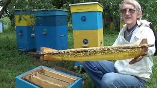 Very Effective Ukrainian Beehive of Vasyl Priyatelenko with Unique Frames (in ENGLISH)