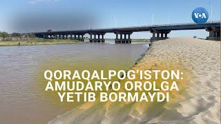 Qoraqalpog'iston: Amudaryo Orolga yetib bormaydi #karakalpakstan #uzbekistan #amudarya