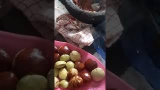 MAKAN JENGKOL MUDA SAMA SAMBAL AJIB