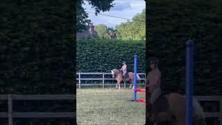 Templateee🫶 No motivation ️ #horse #equestrain #horseenthusiast #harlow #pony