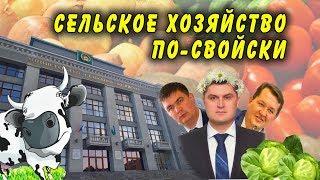 "Минсельхоз РБ: сельское хозяйство по-свойски". Специальный репортаж. "Открытая Политика".