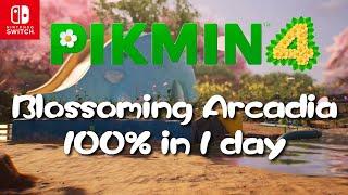 Pikmin 4 - Blossoming Arcadia 100% Speedrun (1 day)