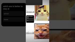 home vs school #xd #funny #lol #cat #memes