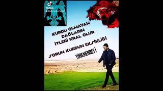 GÜN İKİNDİ AKŞAM OLUR.GÖRKİ BAŞA NELER GELİR
