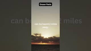 A blue whale’s heartbeat is so powerful…