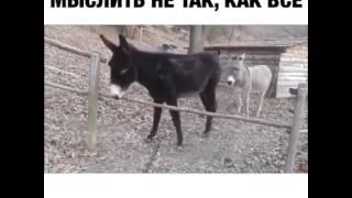 мыслить не так , как все