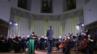 Vitali: Chaconne - Renée Tu & The Sonorus Symphony Orchestra