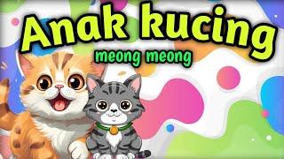 Anak Kucing Meong Meong - Lagu Anak Anak - Lagu Anak Indonesia Populer // DEWI KIDS