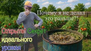 Почему огородники сходят с ума от этой подкормки?
