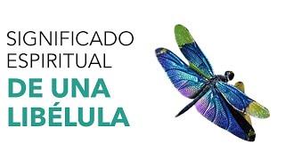 Significado ESPIRITUAL de una LIBÉLULA  ¡DESCÚBRELO!