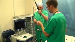 Low skill fibreoptic intubation using the Aintree Catheter