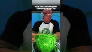 The Rock in Subnautica
