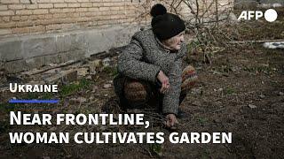 As winter ends, a garden takes shape near Ukraine frontline | AFP