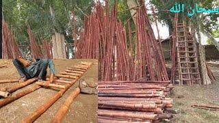 bamboo ladder making process on Only Skill|Bance ki Siri #onlyskill #bambooladder #bamboo