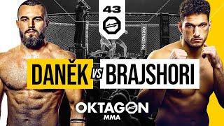 Danek vs. Brajshori | FREE FIGHT | OKTAGON 43