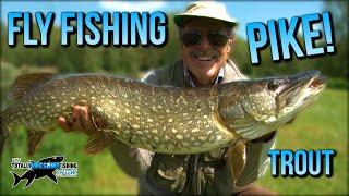 Graeme catches Huge Pike and Chunky Trout on the Fly | TAFishing