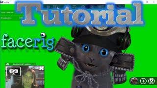  How To Use Facerig (Tutorial) 