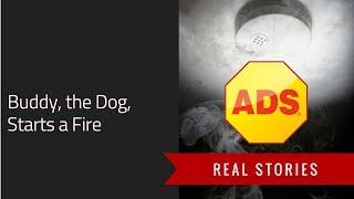 ADS Security Real Story: Buddy, the Dog, Starts a Fire