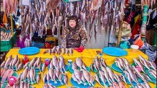 Amazing assorted Korean seafood sashimi, octopus, abalone, tuna, salmon - Korean food | SAPA TV