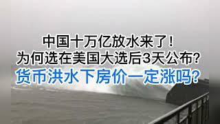 中国将10万亿大放水化债！为何美国大选后3天内公布？货币洪水下房价一定会涨吗？(20241030第1301期)