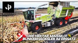 1000HA Maissilo! Maisernte 2024 & Bunkerhäcksler! || JP Agrar